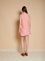 Peach Pink Dresses