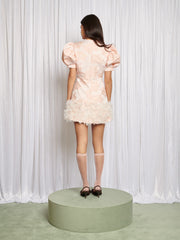 Pink Nude Dresses