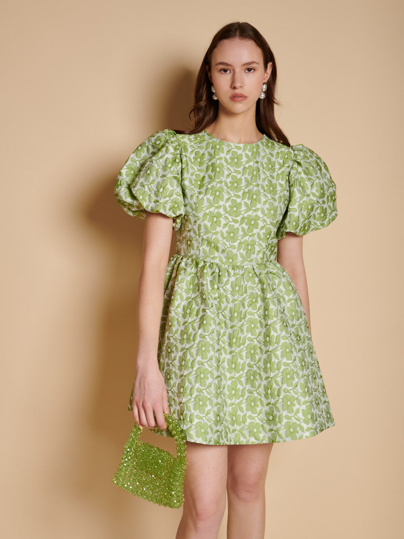 Fennel Green Dresses