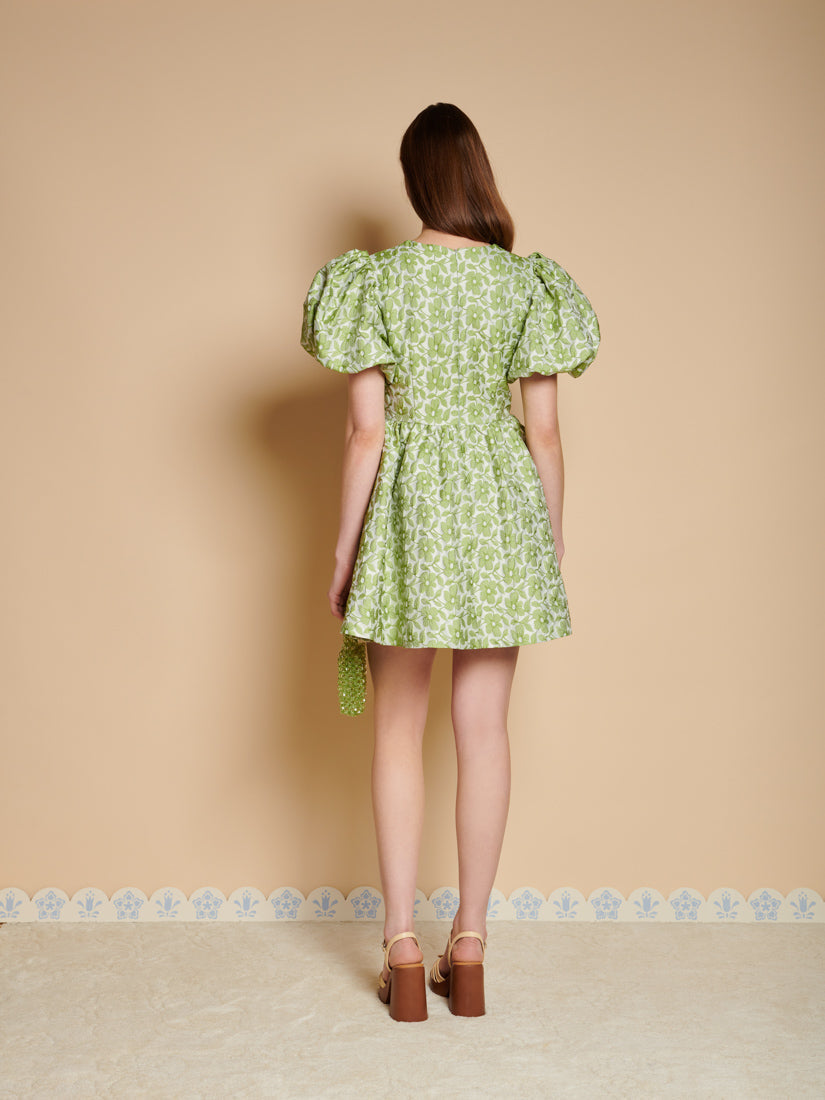 Fennel Green Dresses