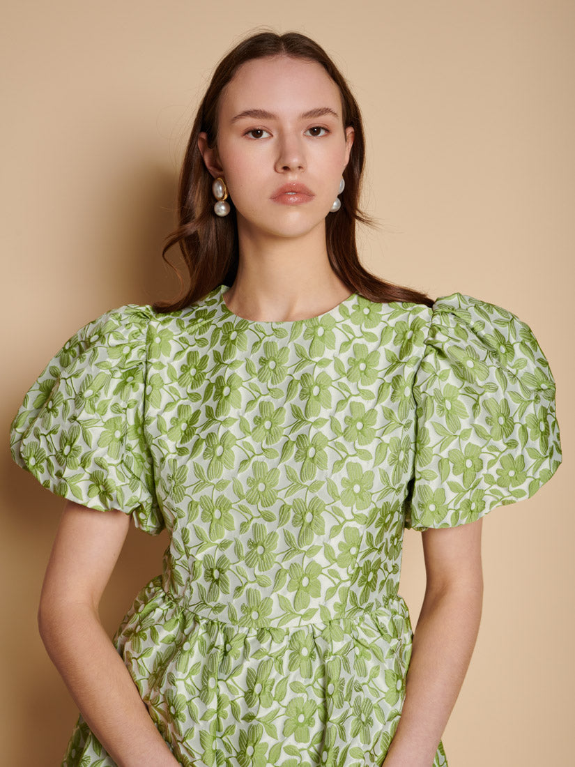 Fennel Green Dresses