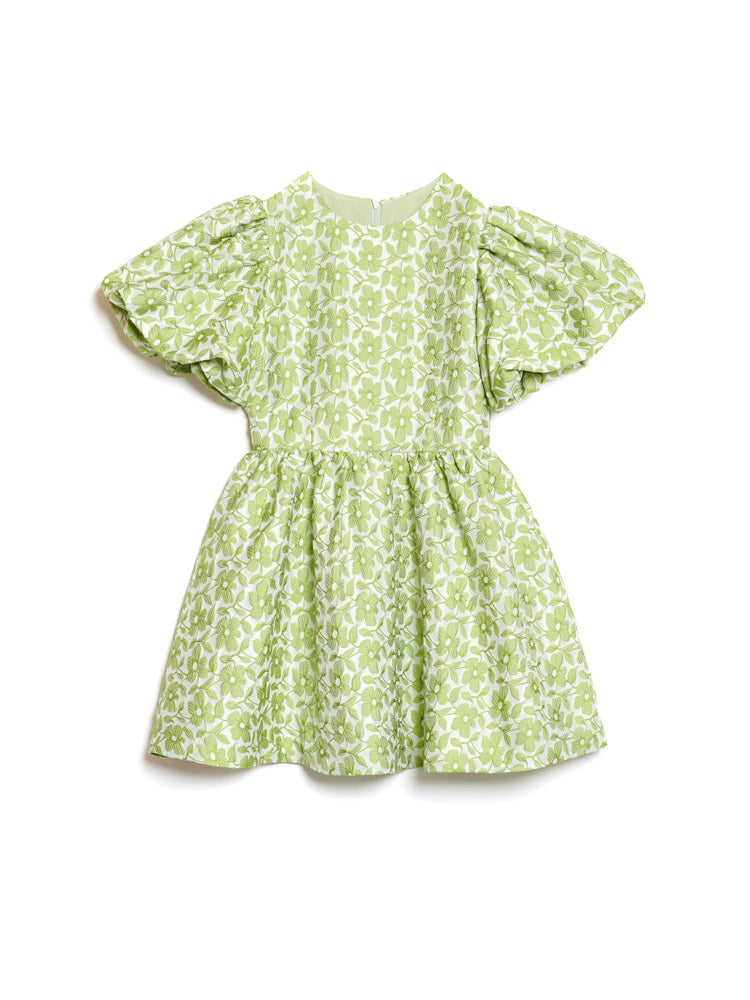 Fennel Green Dresses
