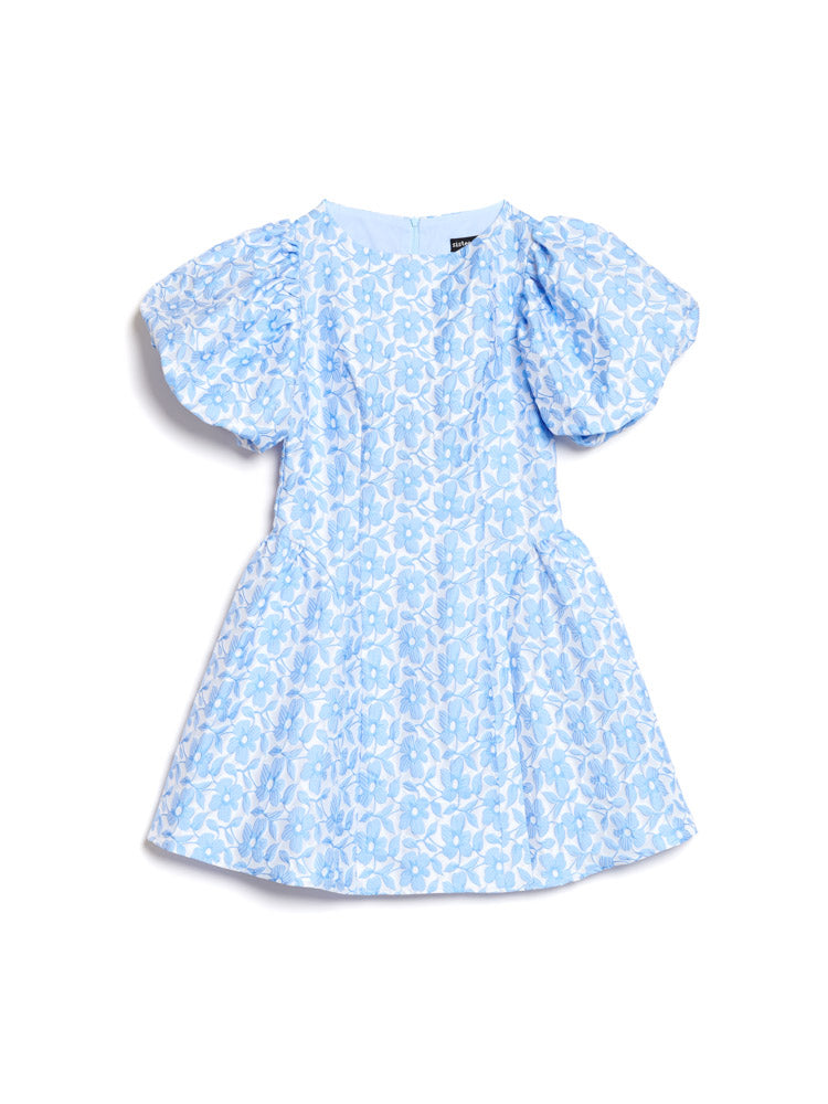 True Blue Dresses
