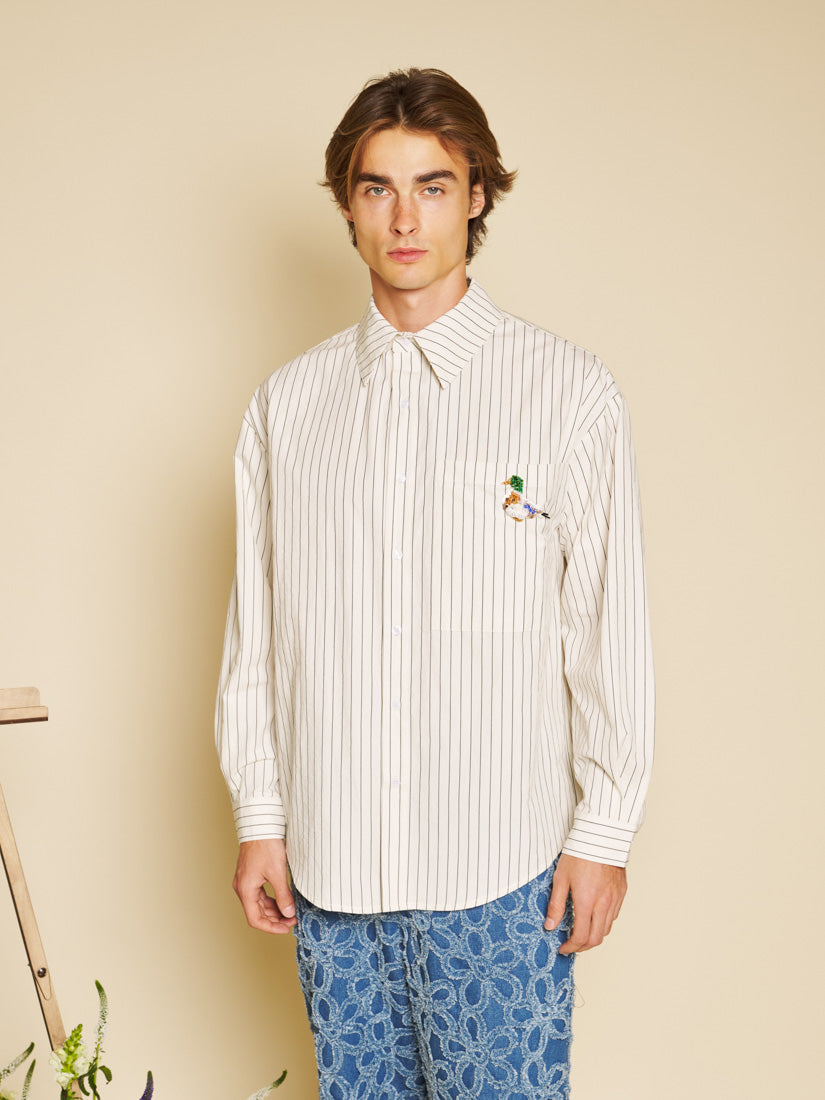 Ivory Cream Shirts