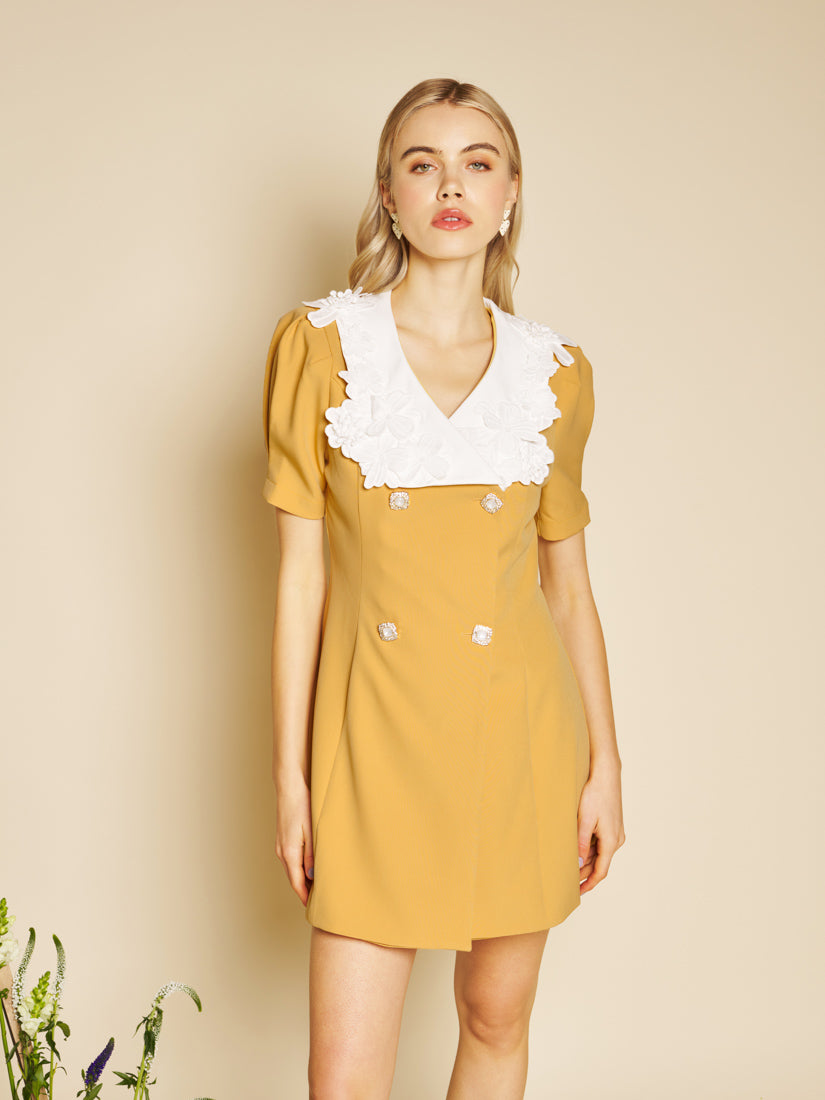 Mustard Yellow Dresses