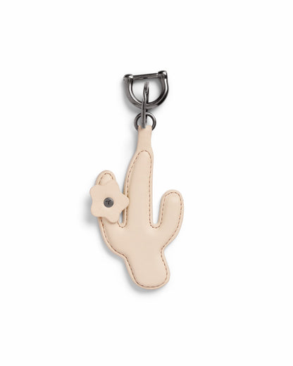 Bone,OS